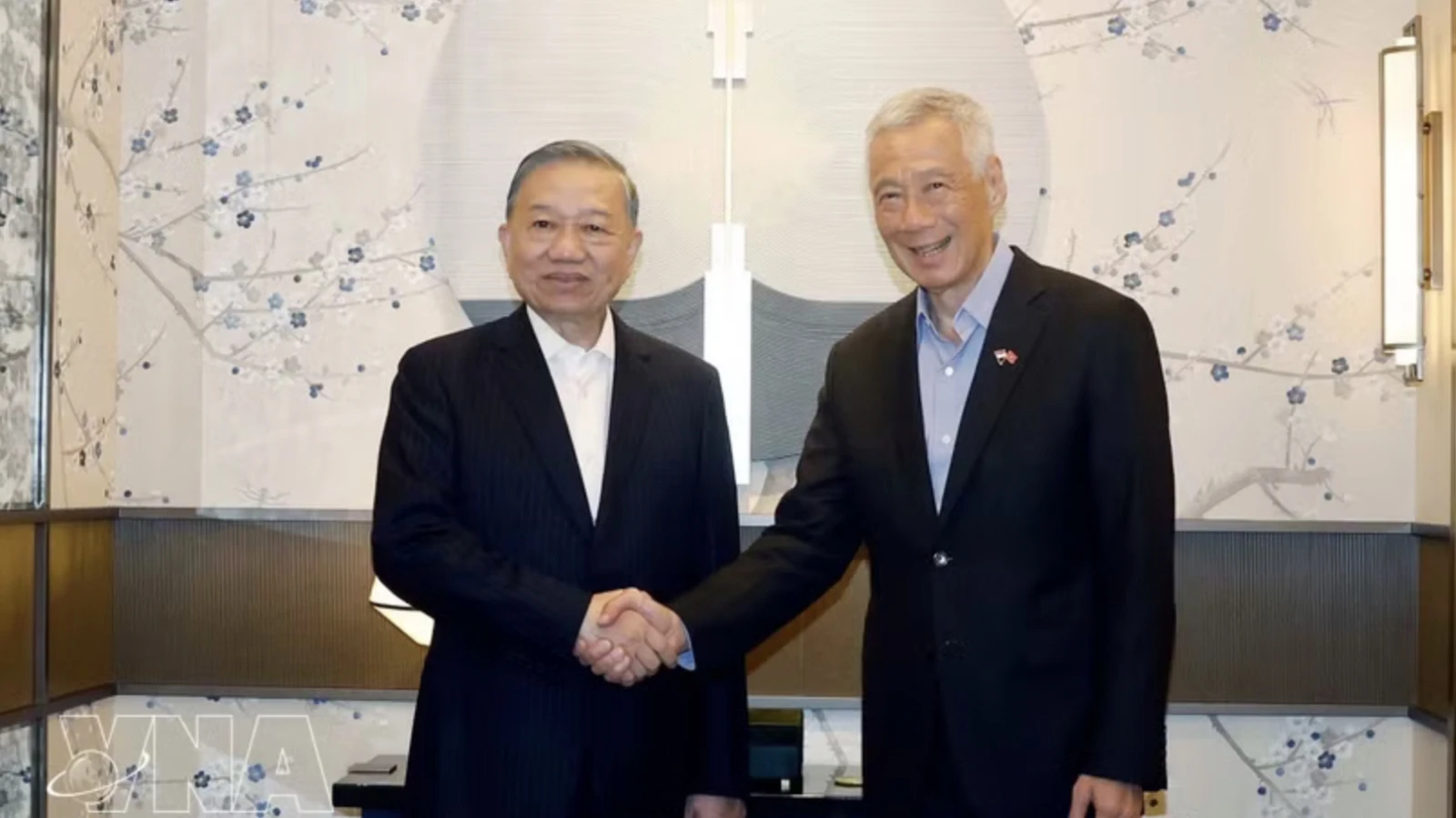 Vietnam-Singapore ties: a cooperation model in ASEAN